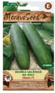 Okurka salátová na pole - Obelix F1