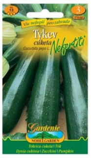Tykev cuketa - Nefertiti