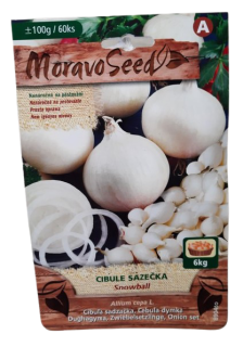 Cibule sazečka Snowball (cca 100 g)
