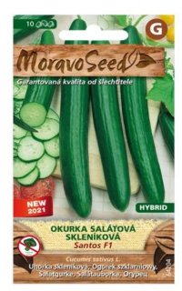 Okurka salátová do skleníku SANTOS F1