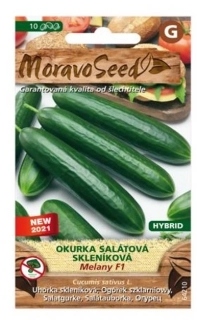 Okurka salátová do skleníku MELANY F1