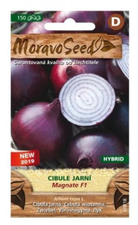 Cibule jarní- Magnate F1