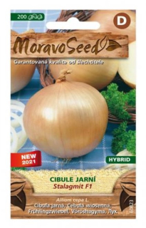 Cibule jarní STALAGMIT F1