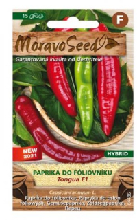 Paprika do fóliovníku TONGUA F1