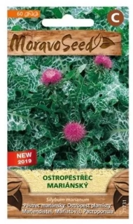 Ostropestřec mariánský