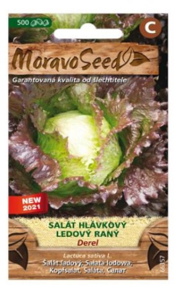 Salát hlávkový ledový raný DEREL
