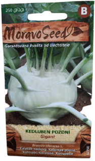 Kedluben pozdní - Gigant 