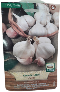 Sadbový česnek Flavor – jarní česnek 250 g (3–4 ks)