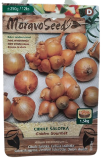 Cibule šalotka Golden Gourmet (cca 250 g)