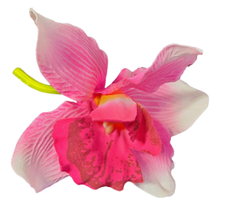 Vazbový květ orchidea ph4844