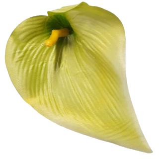 Vazbový květ kala zelený ps2912