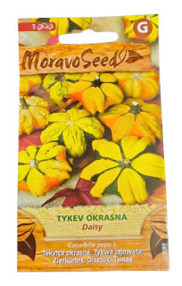 Tykev okrasná Daisy