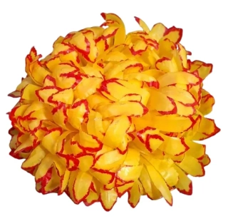 Voskový květ-žlutočervený ph4834