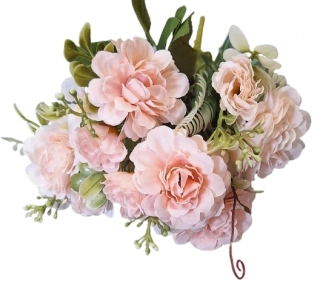 Pryskyřník puget broskvová