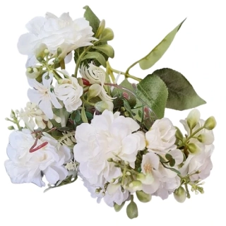 Pryskyřník puget bílá