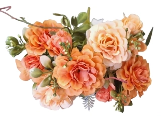 Pryskyřník puget oranžová