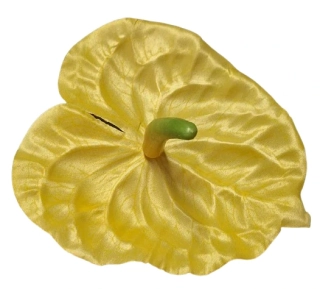 Vazbový květ Anturie žlutá ph4825