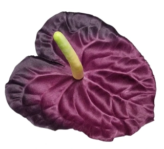 Vazbový květ Anturie fialová ph4822