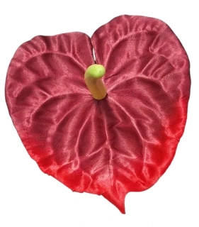 Vazbový květ Anturie červená ph4821