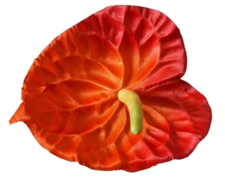 Vazbový květ Anturie oranžová ph4823