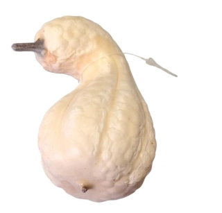 Dýně hruška bílá