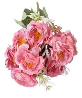 Pryskyřník puget růžová