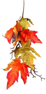 Větvička podzimní