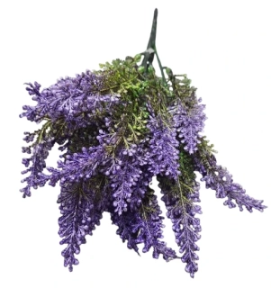 Puget vřes fialový