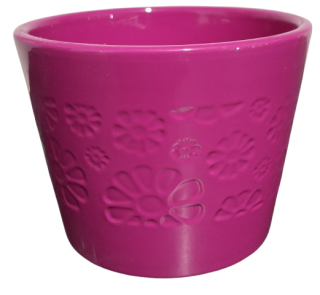 Obal Primule fuchsiová