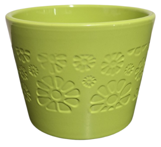 Obal Primule zelená