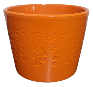 Obal Primule oranžová