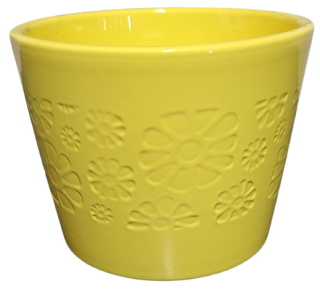 Obal Primule žlutá