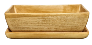 Truhlík kaktus s podmiskou