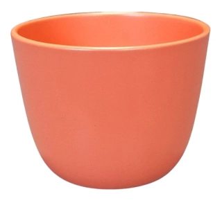 Obal Primule lososová ph5004 