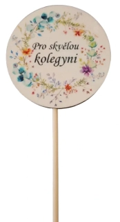 Zápich Pro skvělou kolegyni ps3622