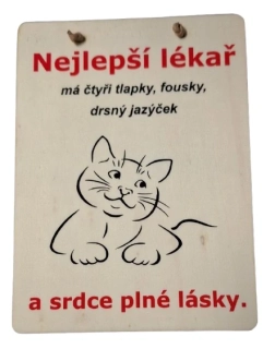 Dárková dřevěná cedulka 3641