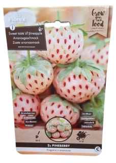 Jahodník Pineberry – bílá jahoda s příchutí ananasu (2 ks)