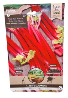 Rebarbora Red Champagne (1 ks)