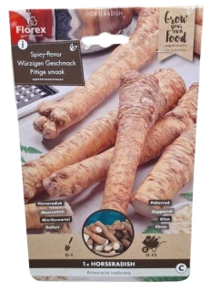 Křen selský (1 ks)