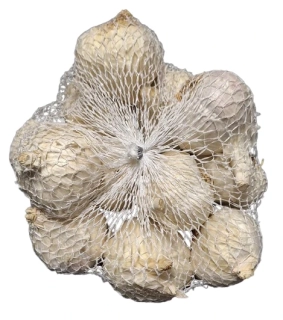 Sadbový česnek Flavor – jarní 500 g