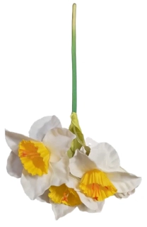 Umělý narcis ph5253