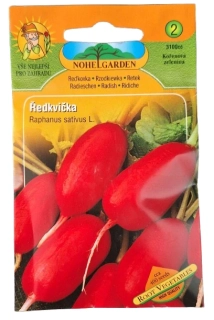 Ředkvička – Root Vegetables