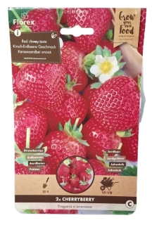 Jahodník Cherryberry – sazenice