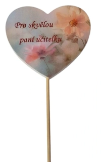Zápich Pro skvělou paní učitelku ph5363