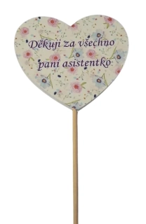 Zápich děkuji za všechno ph5370