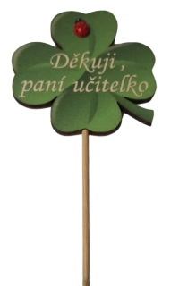 Zápich Děkuji paní učitelko ph5373