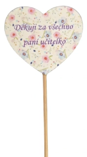 Zápich Děkuji za všechno paní učitelko ph5374