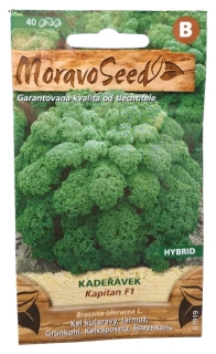 Kadeřávek Kapitan F1 – semena MoravoSeed
